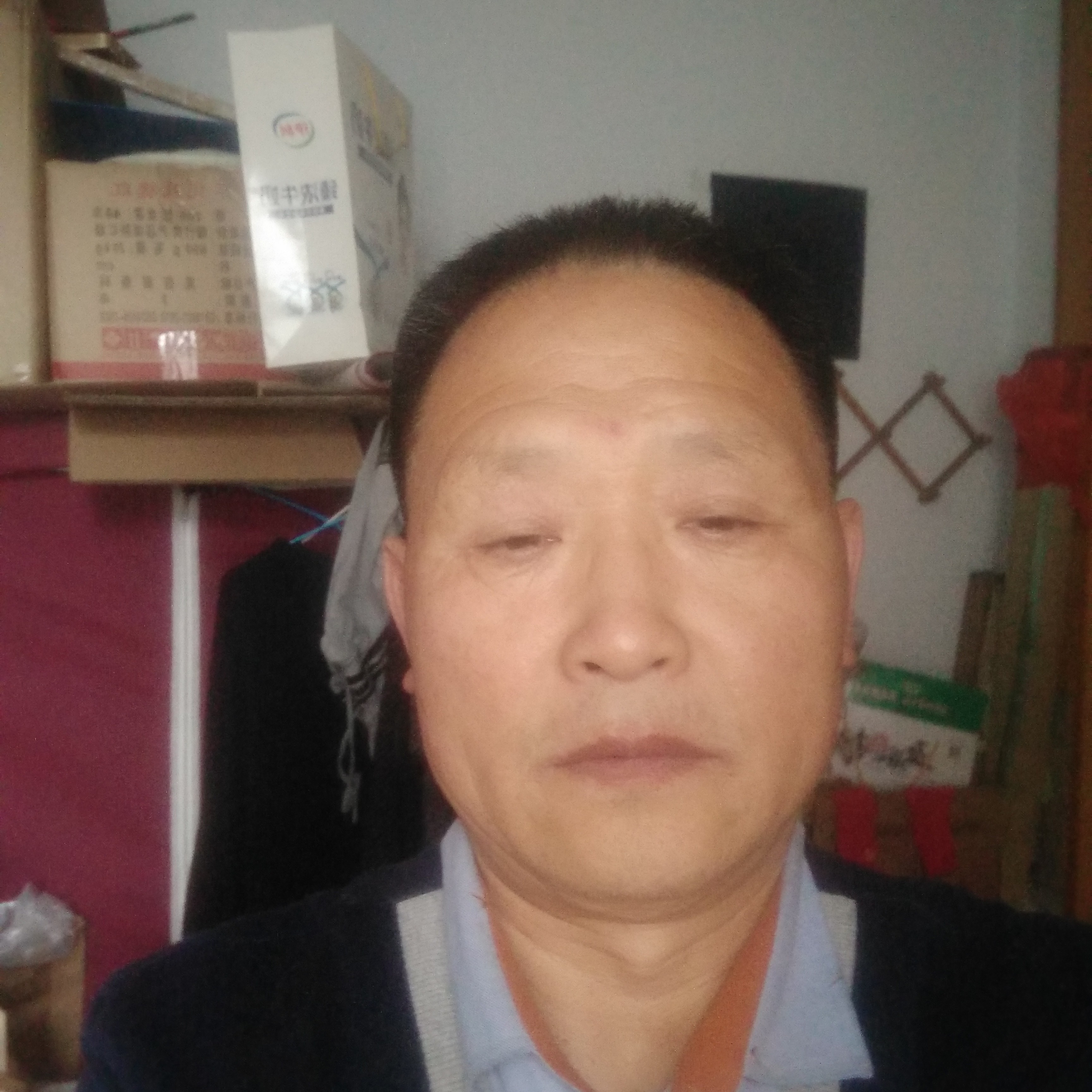 虚幻迎野狼的照片