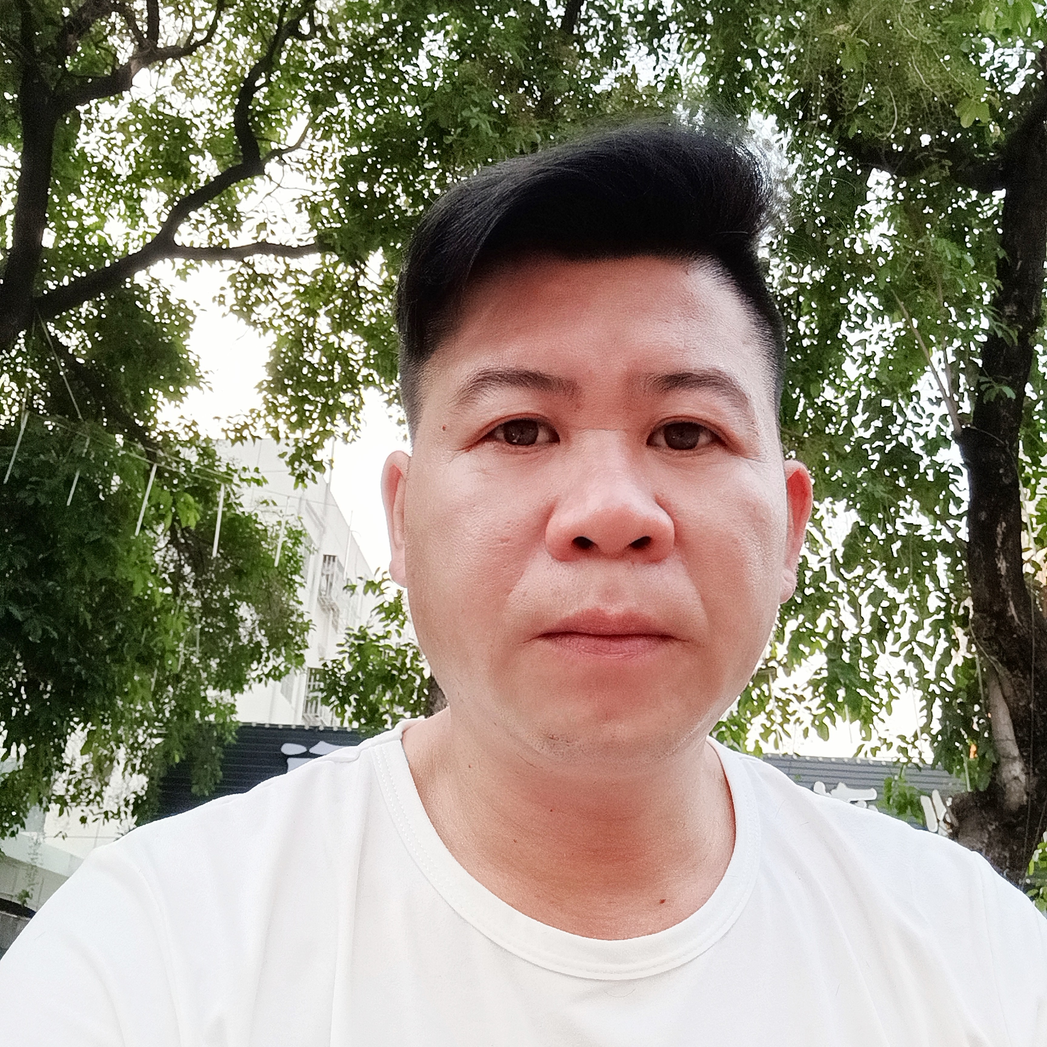 金的照片