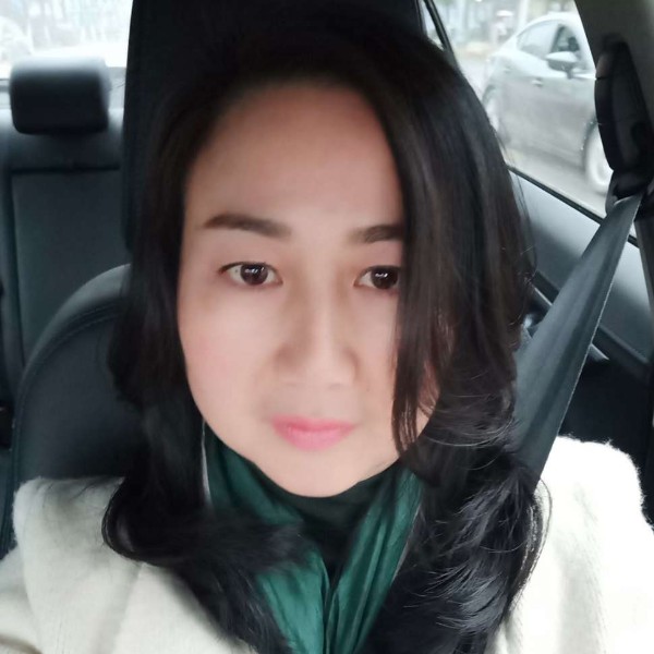 端庄红玫瑰的照片