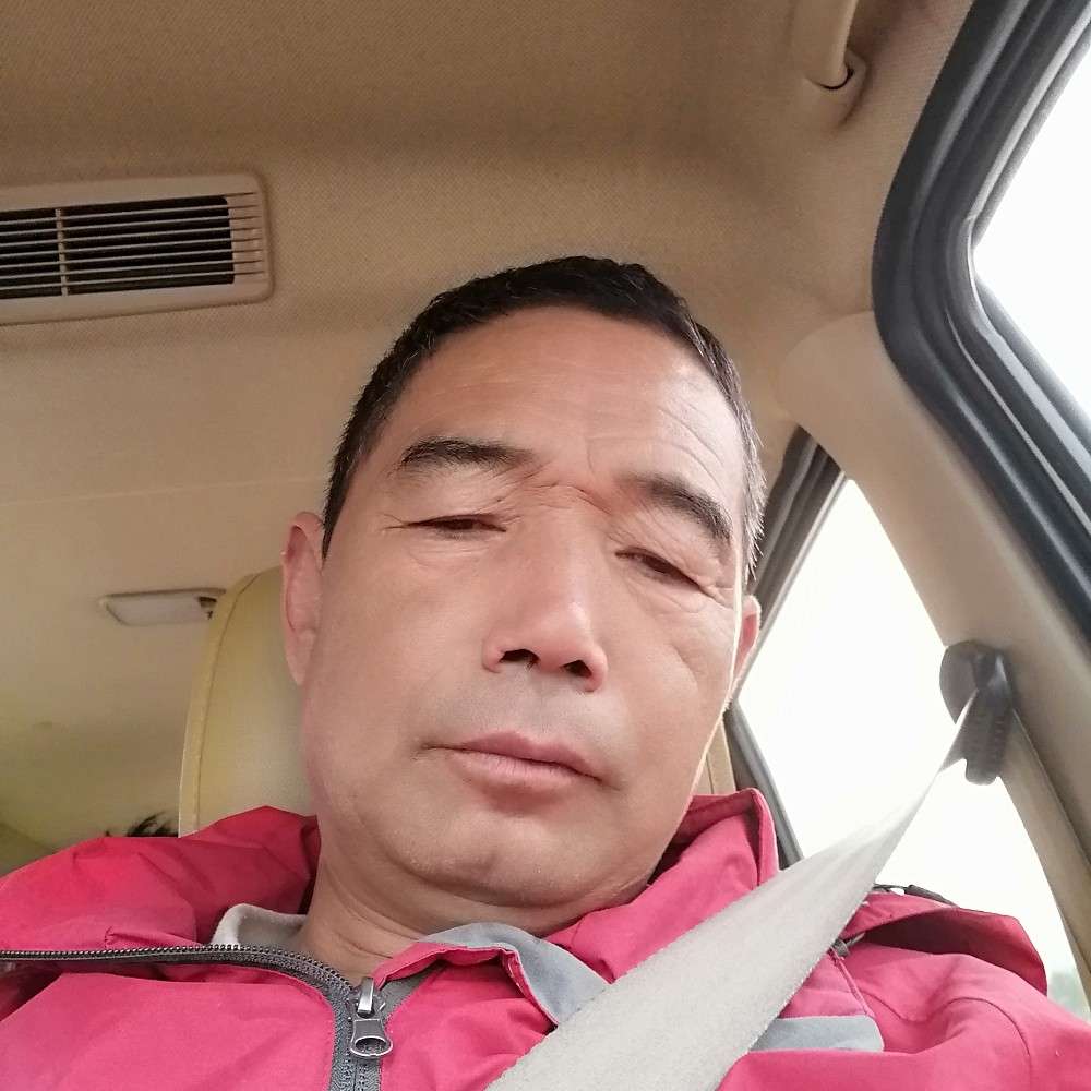 大象有如意的照片