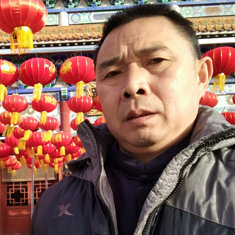 俊逸飞机的照片