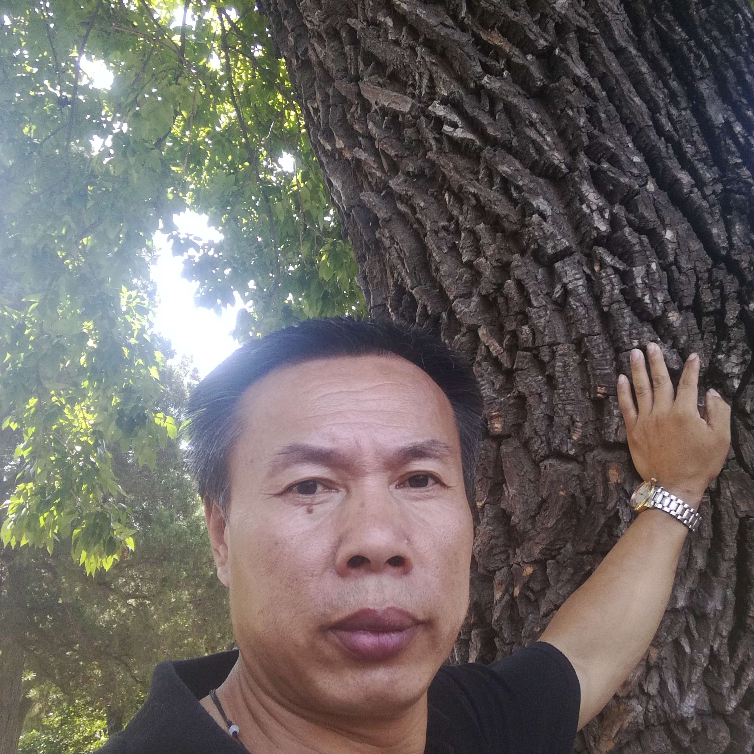 147路上的照片