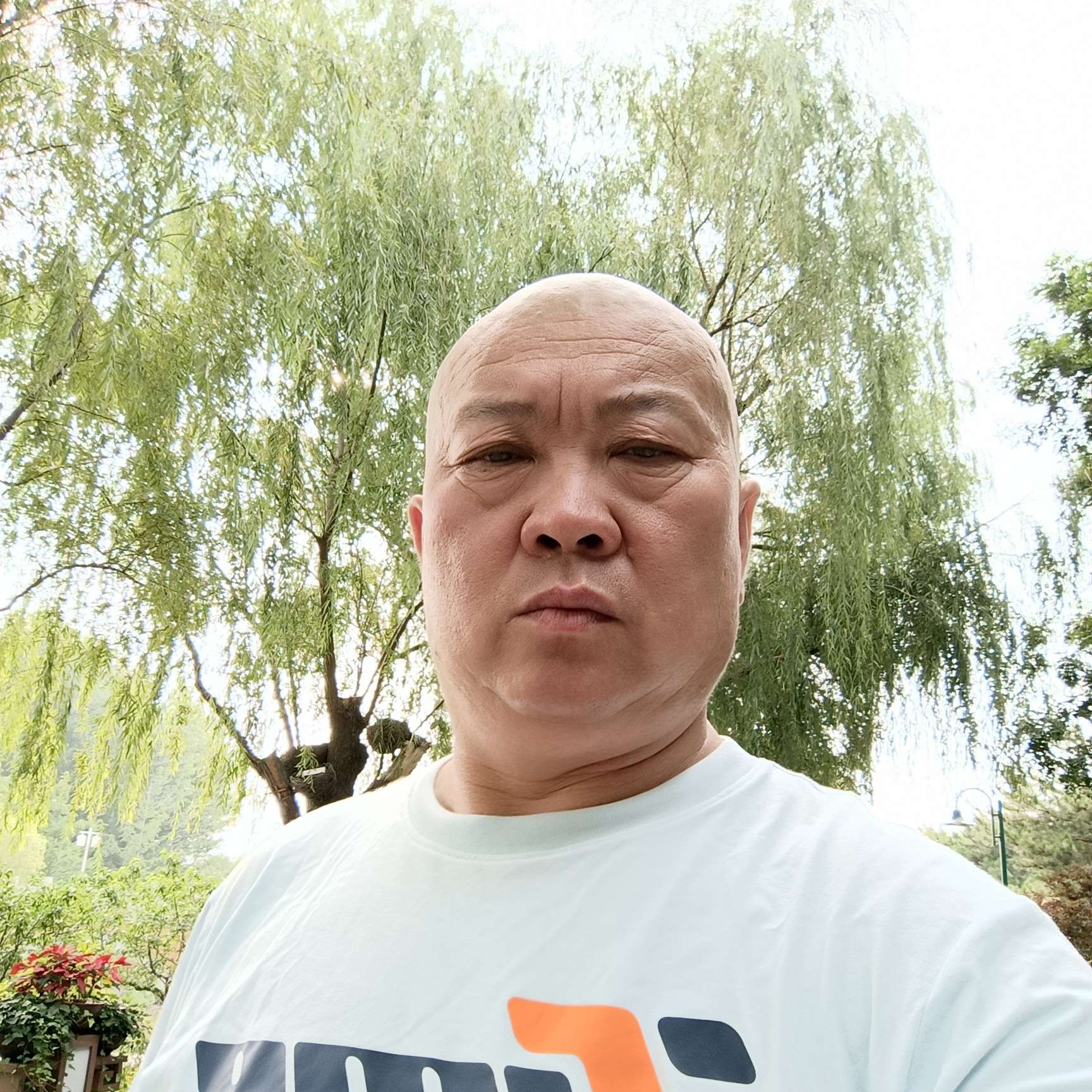 神拳太保的照片