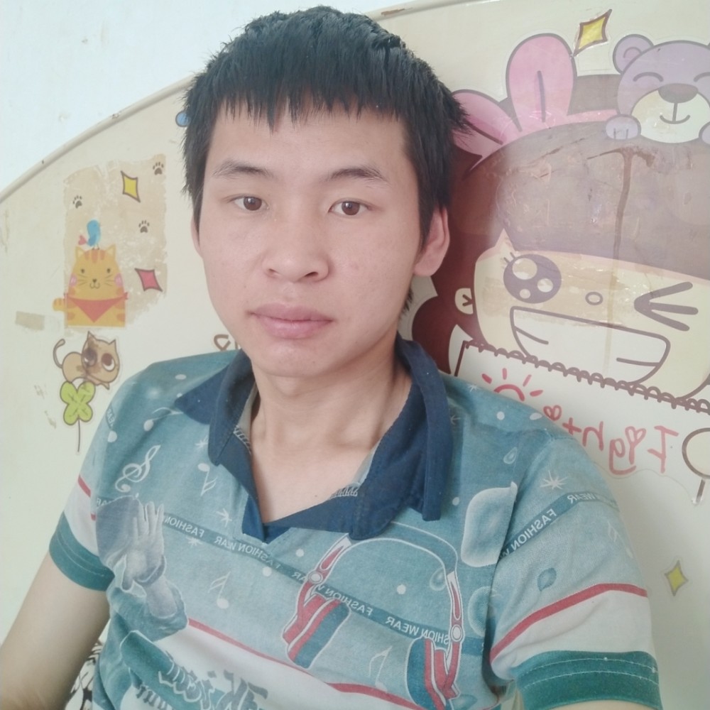 小海豚爱开朗的照片