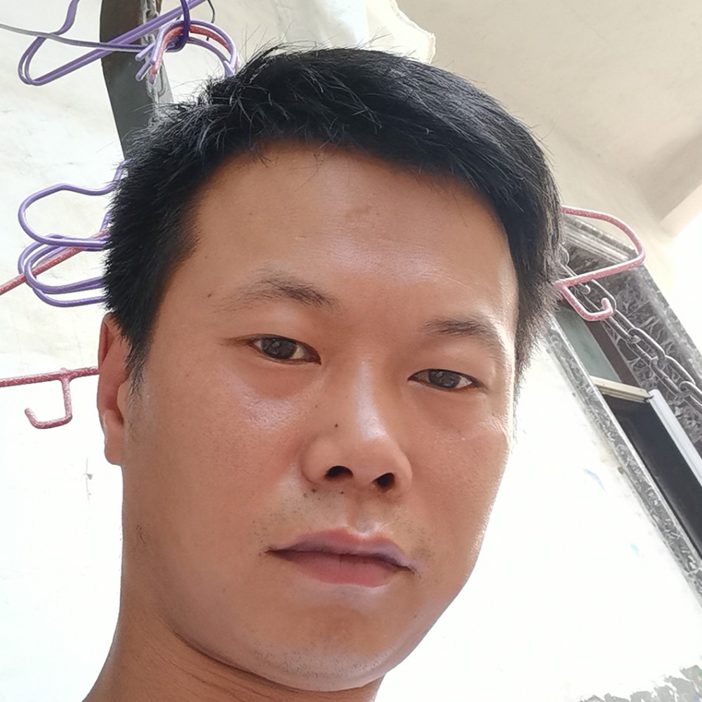 小蜜蜂愿黯然的照片