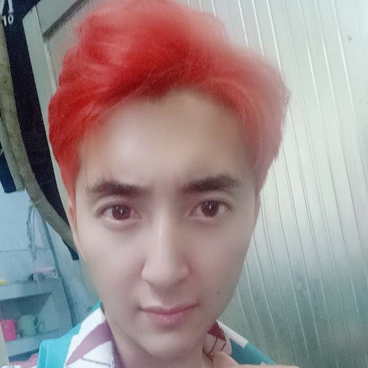 小海豚给懦弱的照片