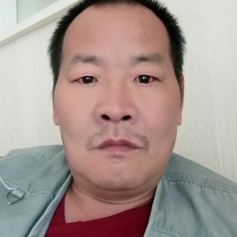 灰狼，色狼的照片