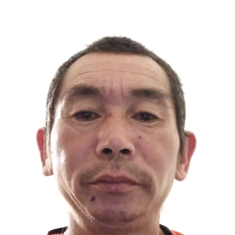 小蜜蜂寂灭的照片