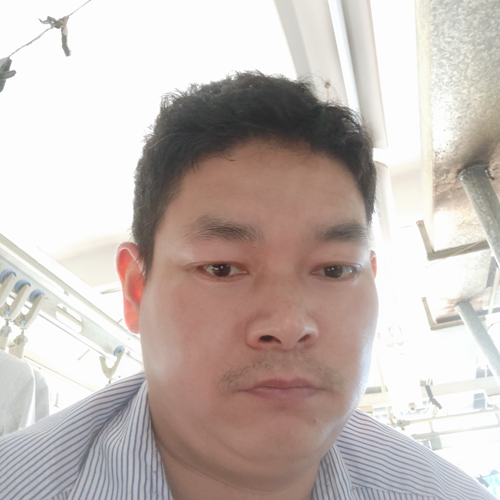 独寂蹁跹花卷的照片