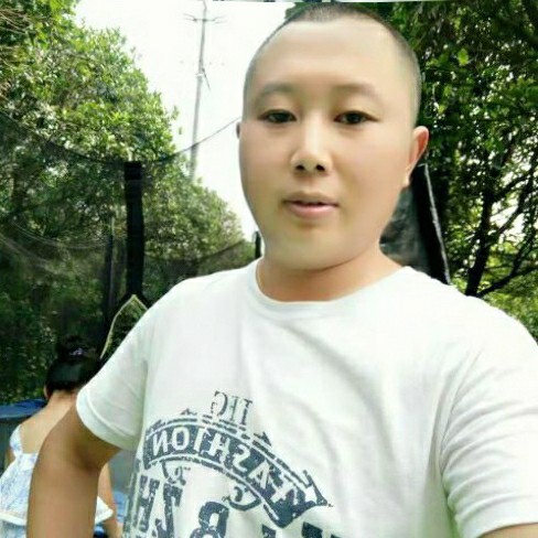 天龙之星的照片