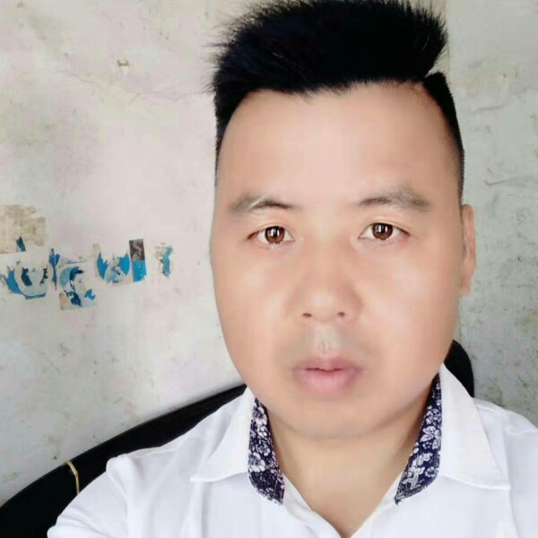 平常向日葵的照片