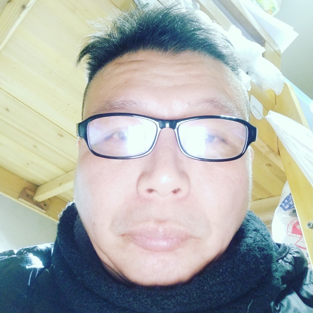 蜜蜂2020的照片