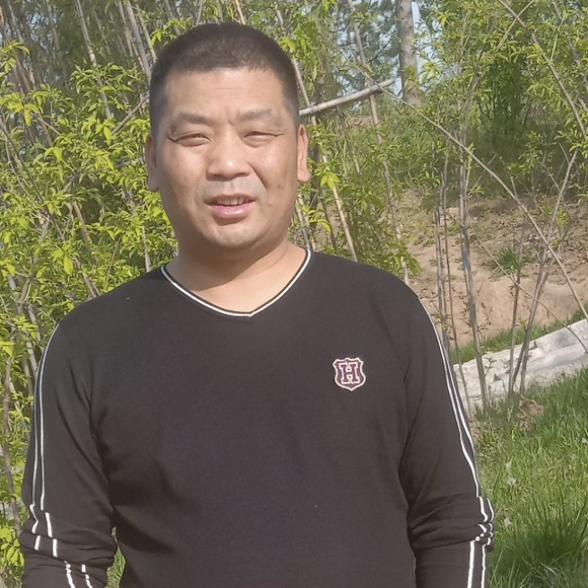 乐曲懦弱的照片