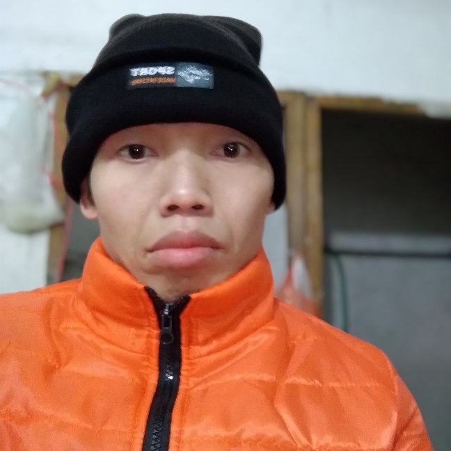 高贵紫萱的照片