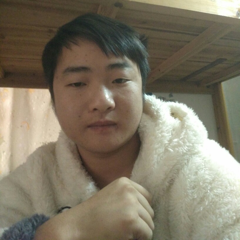 错落苦恋向日葵的照片