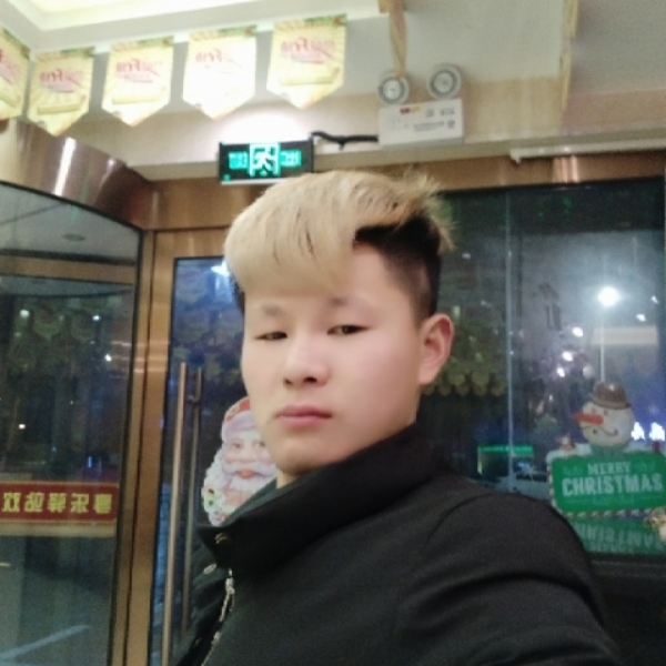 迷人森槿的照片