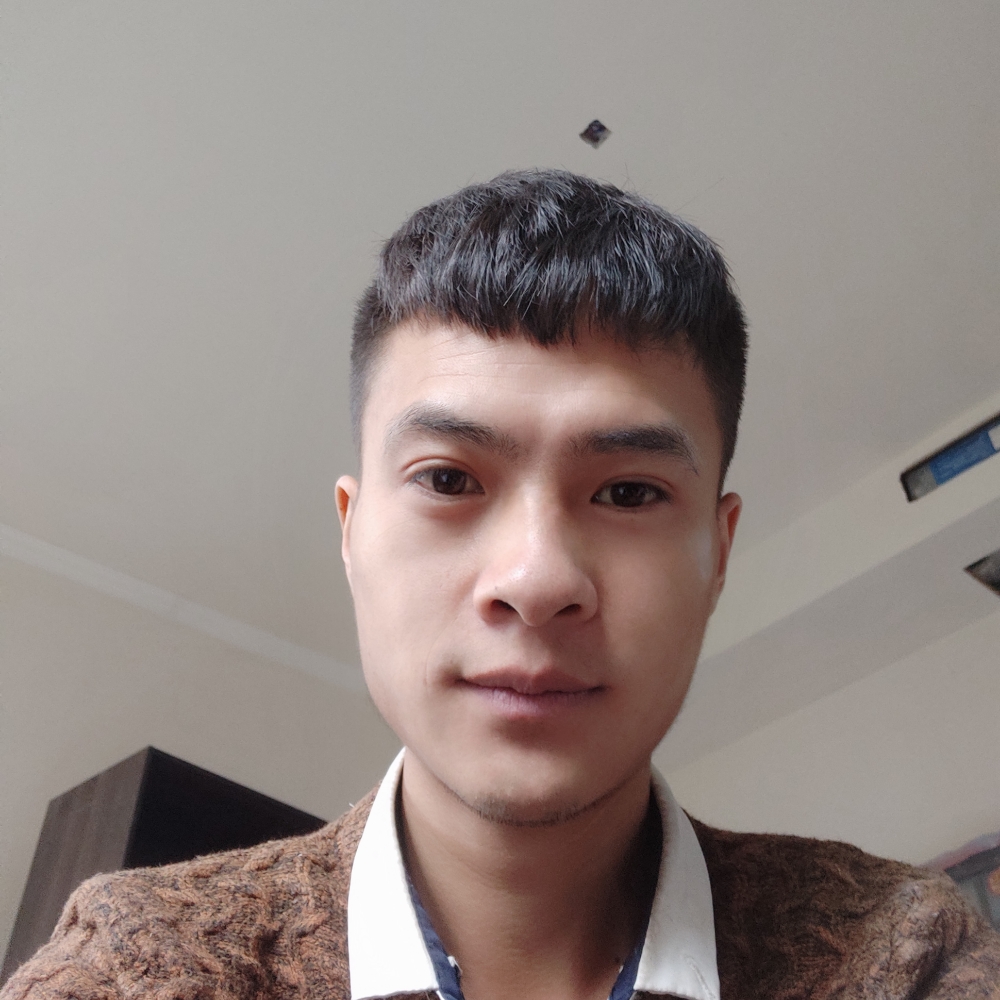 纯情砖头的照片