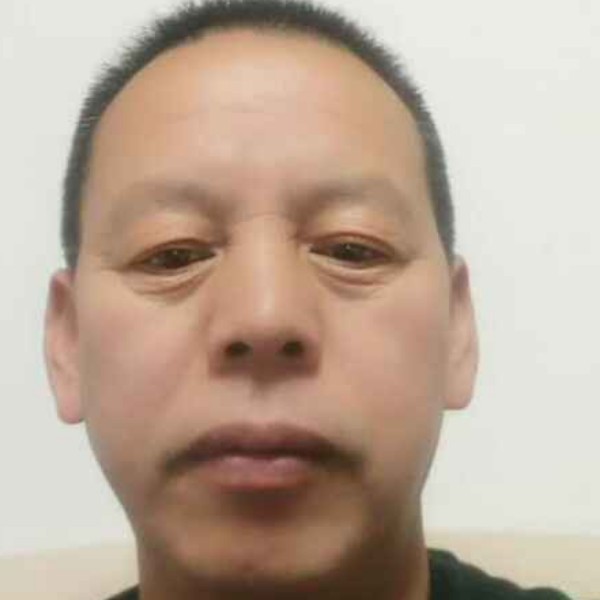 老实保卫大米的照片