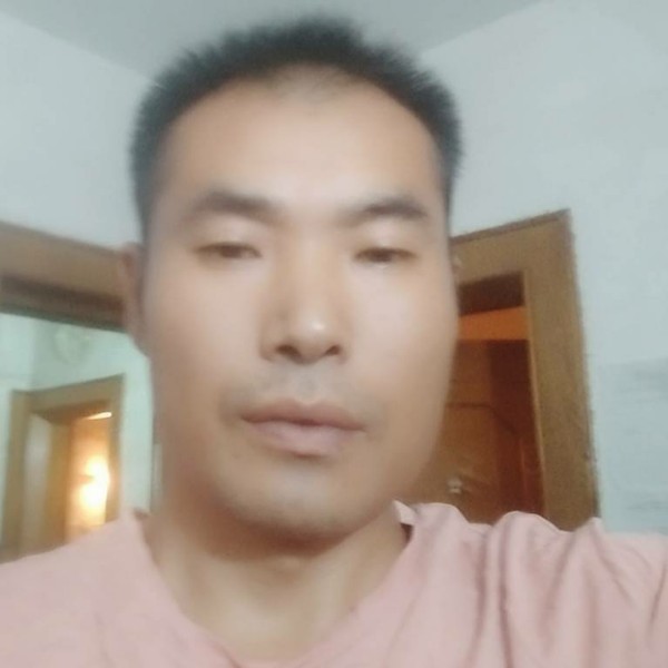 迷人玫瑰的照片