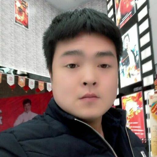 至尊灰狼的照片