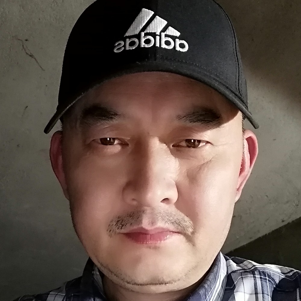 蚂蚁笑点低的照片