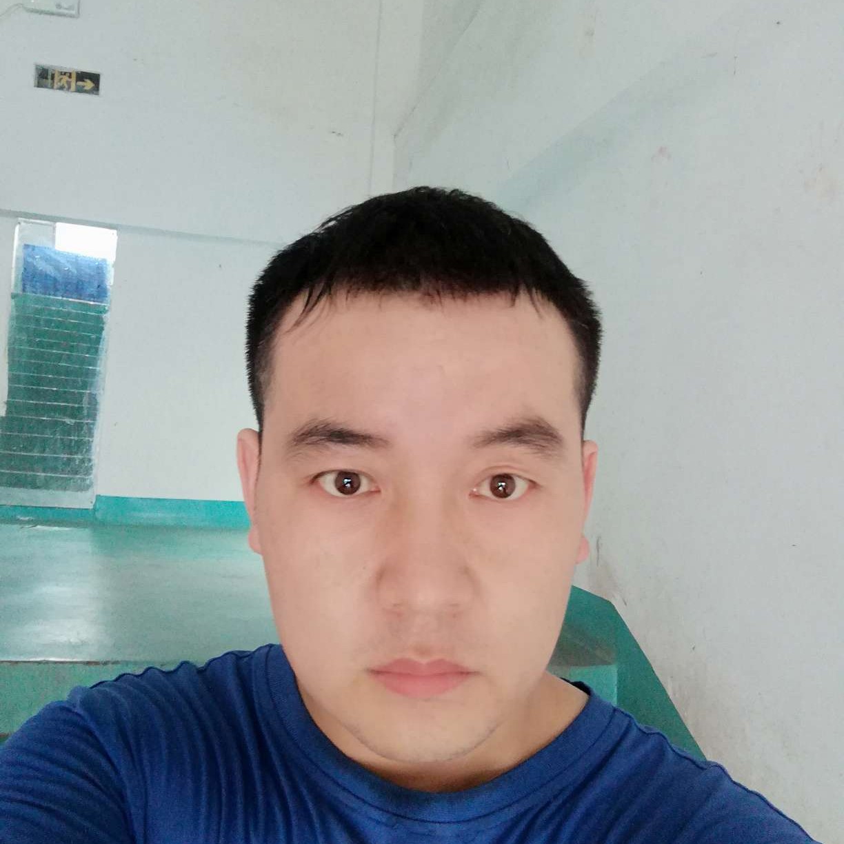 金苹果的照片