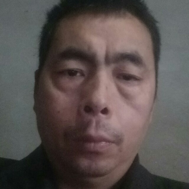 蜜蜂漫步火星上的照片