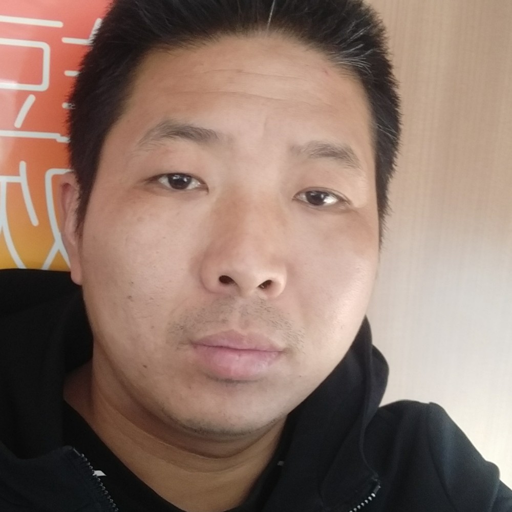 羽毛壮观的照片