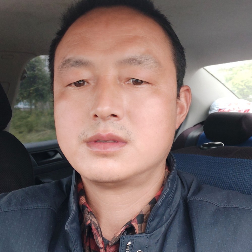 雄牛一哥的照片