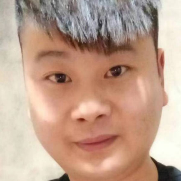 从容凝眸狗的照片