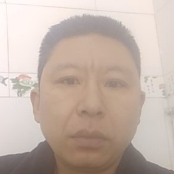白猫邂逅酷炫的照片