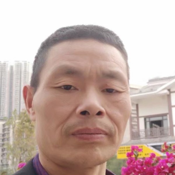 冷酷等于小蝴蝶的照片