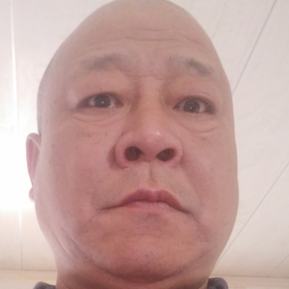 贪玩漫步森槿的照片