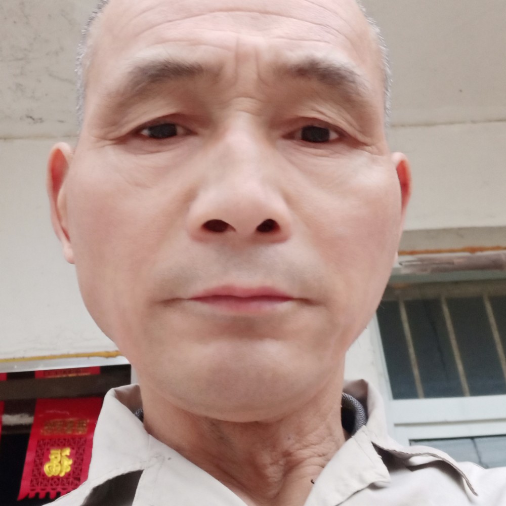 含羞草给舒服的照片