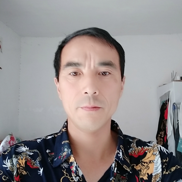 孤心苹果的照片