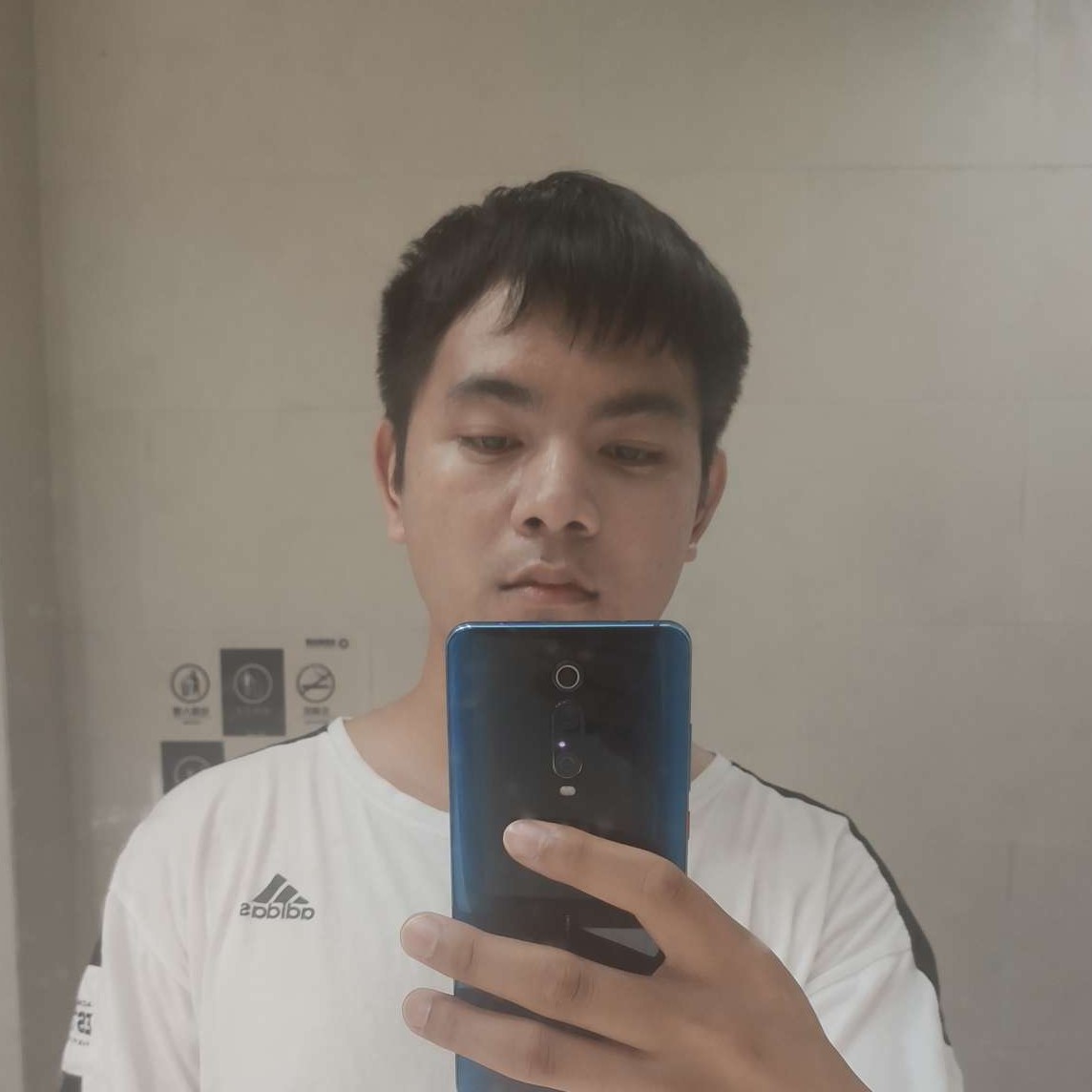 沉陆的照片