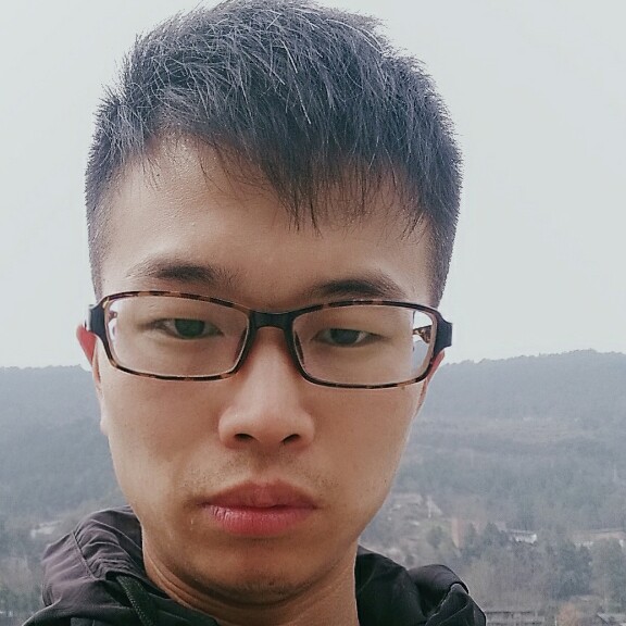 闲梅落花的照片