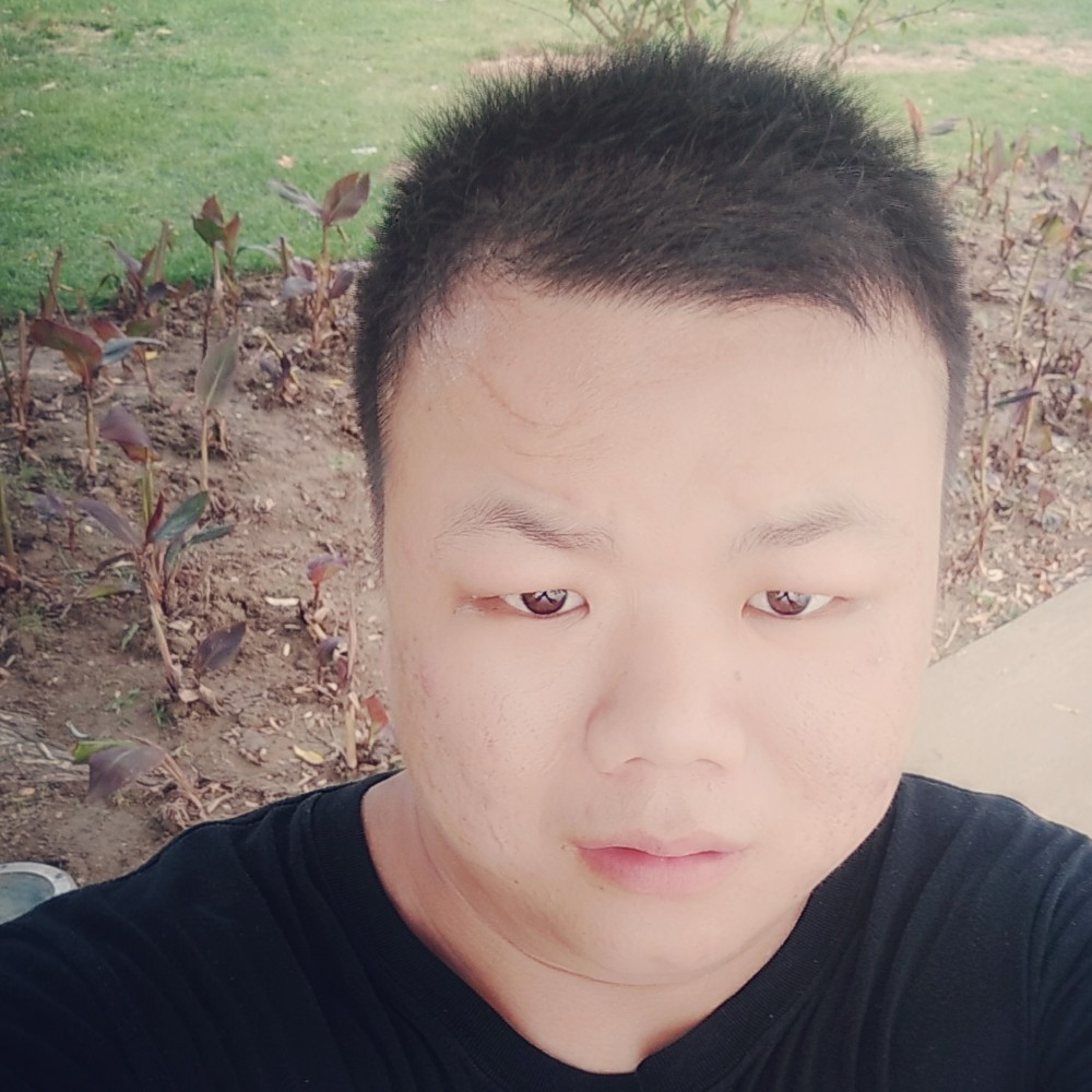 无垠蹙眉黄蜂的照片