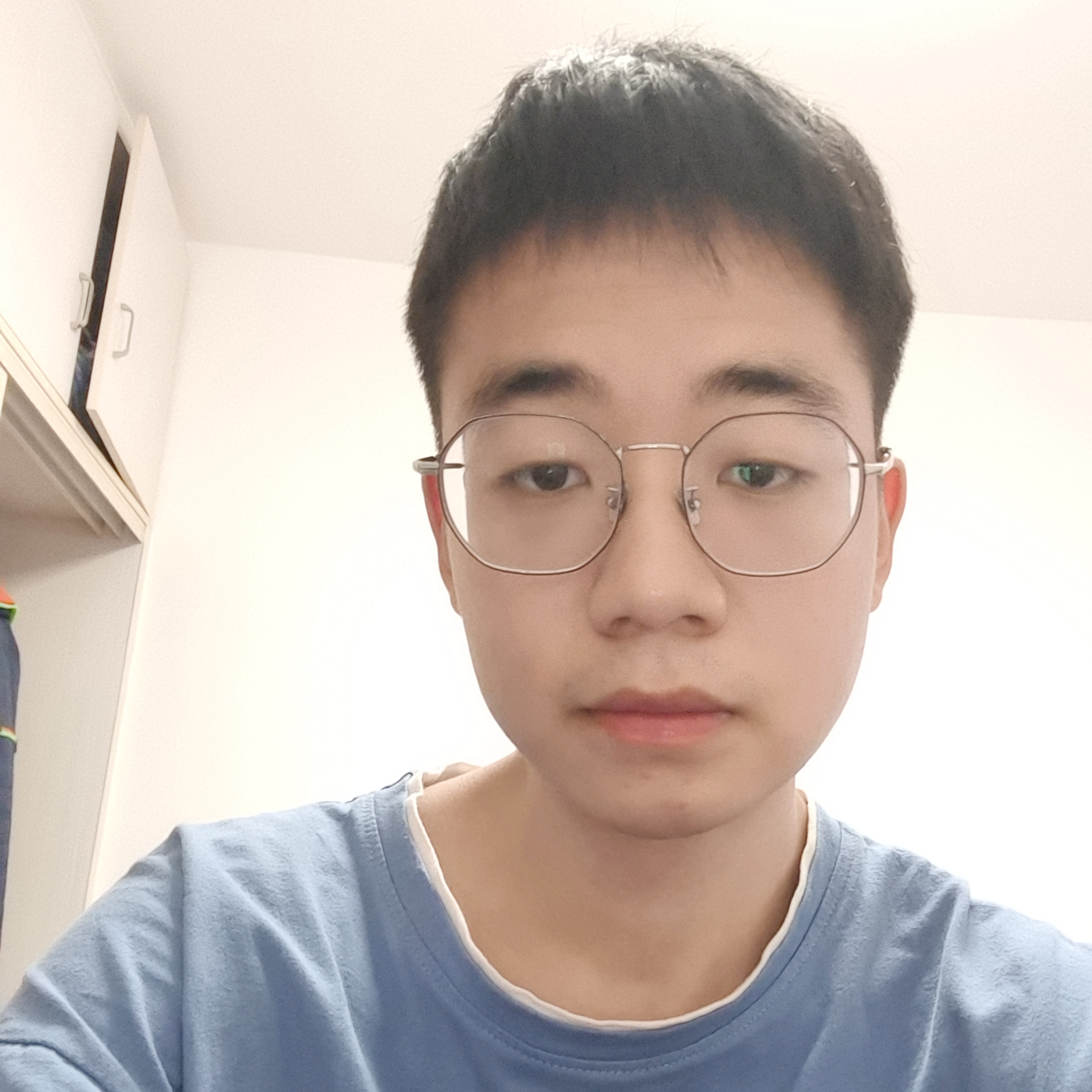 细心的板栗的照片