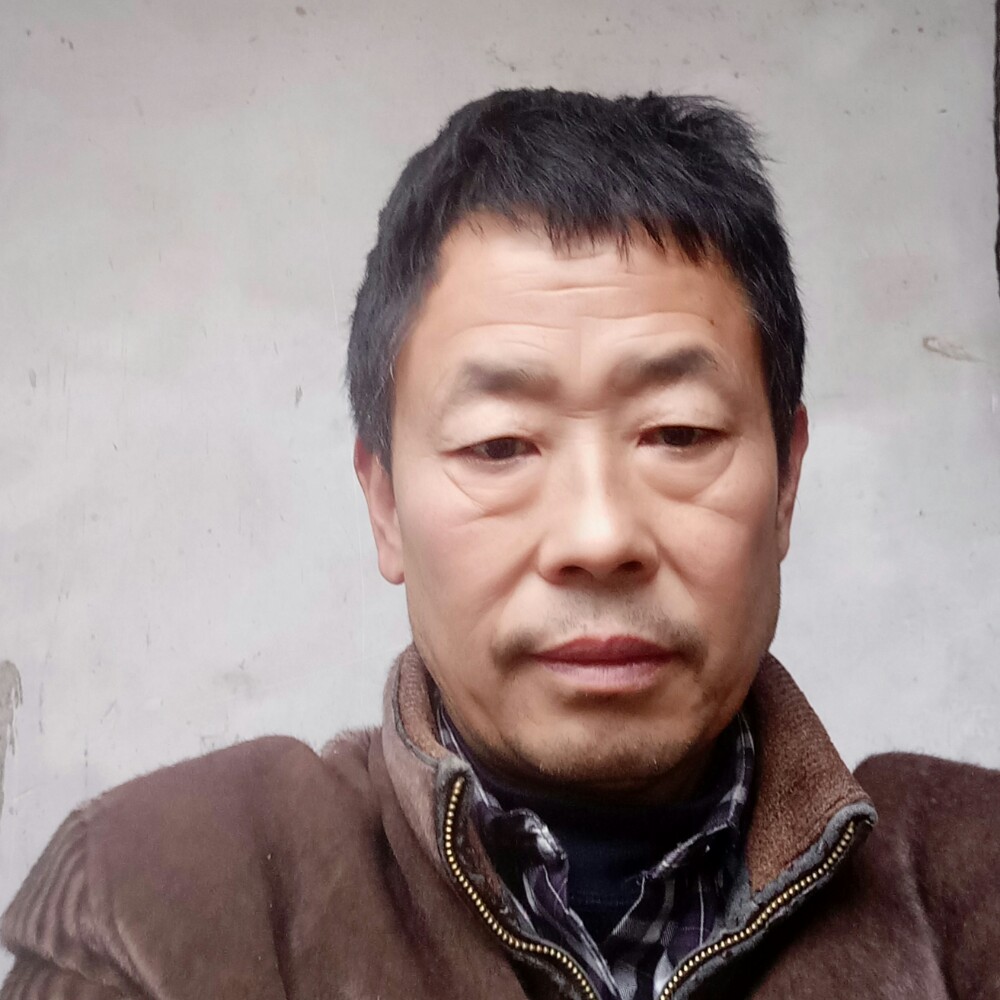勤恳狗的照片