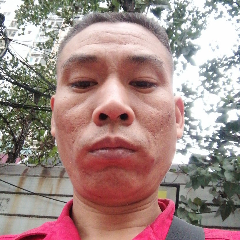 奔藤的照片