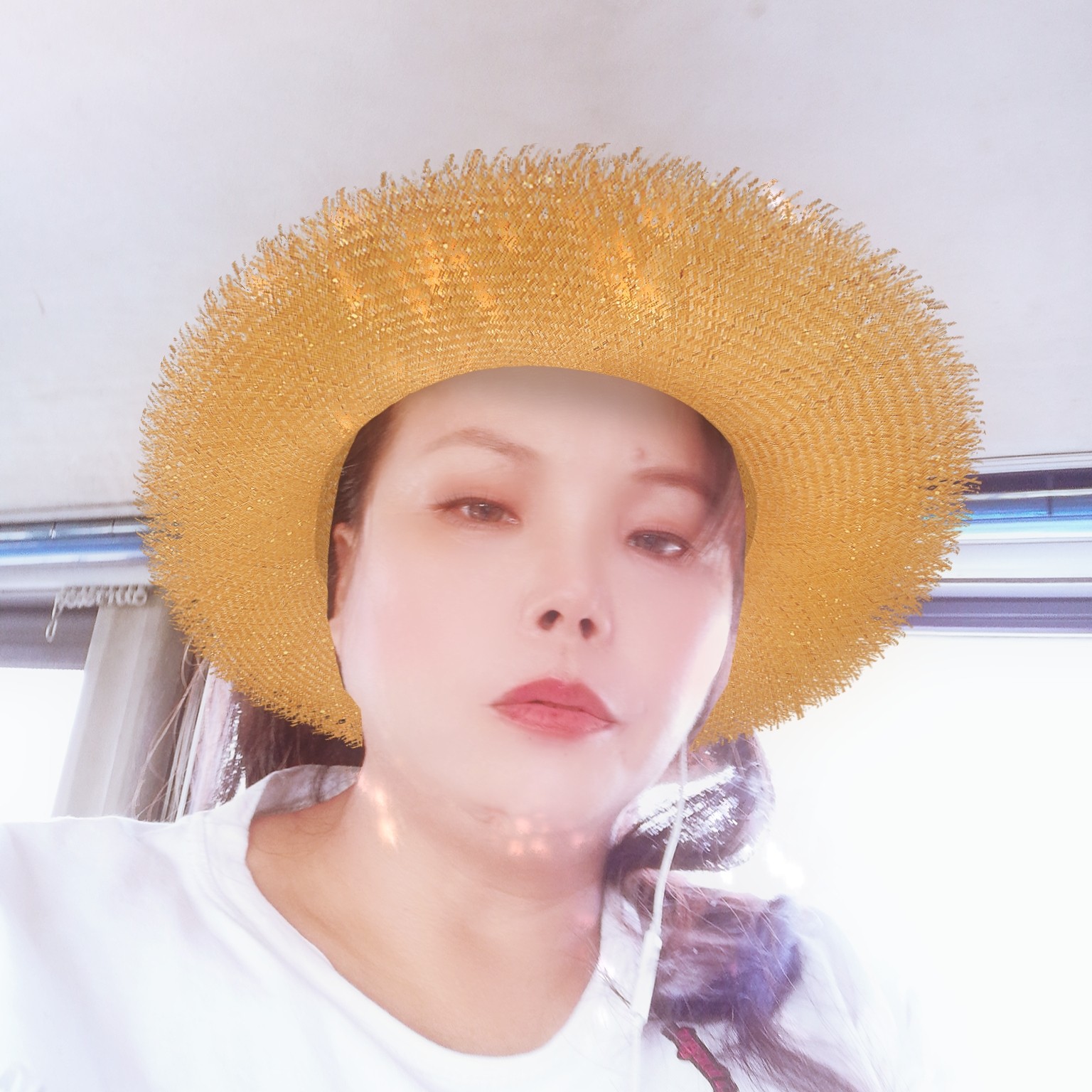 凡友兰的照片