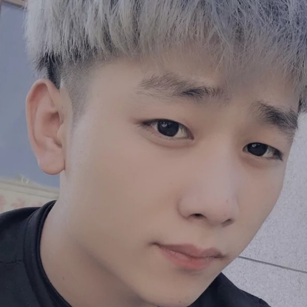 小公牛的照片