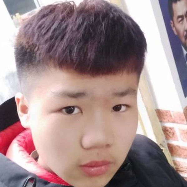 橘子美好的照片