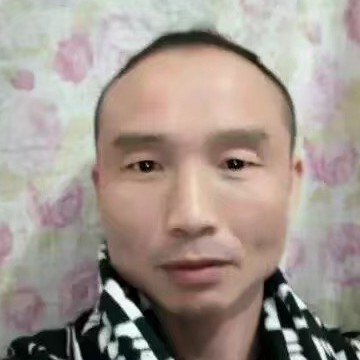 小白菜苗条的照片