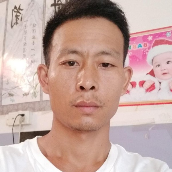 怕孤单金针菇的照片