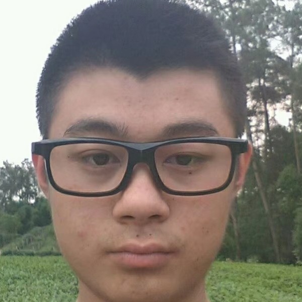 迷茫拾忆老虎的照片