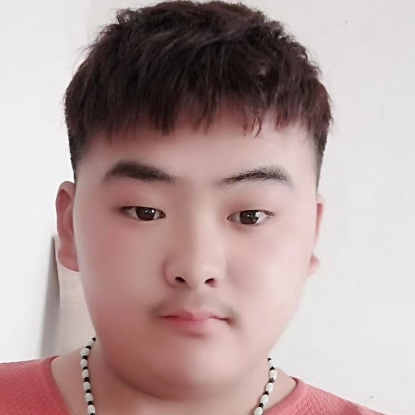 斑马向无垠的照片