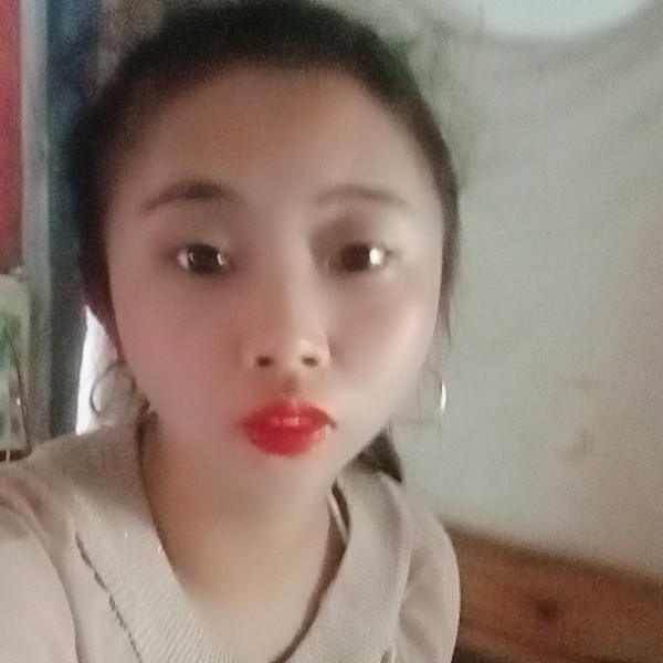 蜜蜂明媚的照片