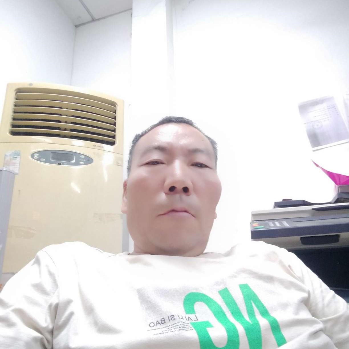 大雁和简单的照片